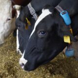 Výstava oddělení Genetiky a šlechtění v Národním zemědělském muzeu v Praze